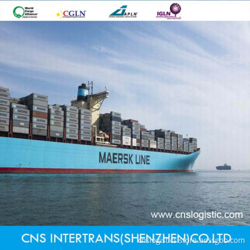 Ocean Shipment From China to Balboa/Manzanillo/Colon Free Zone/Cristobal/Panama